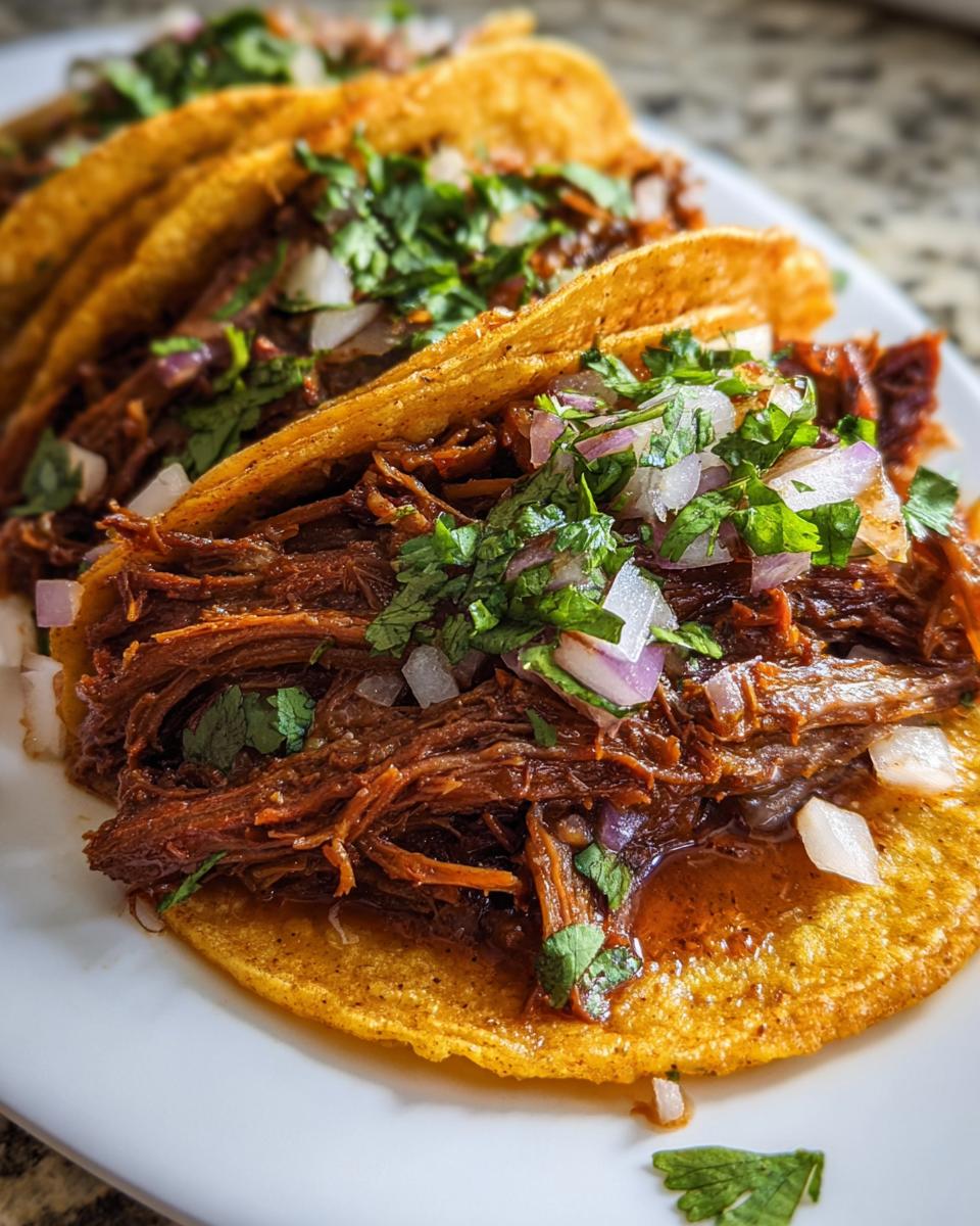 Crock Pot Birria Tacos - detail 2