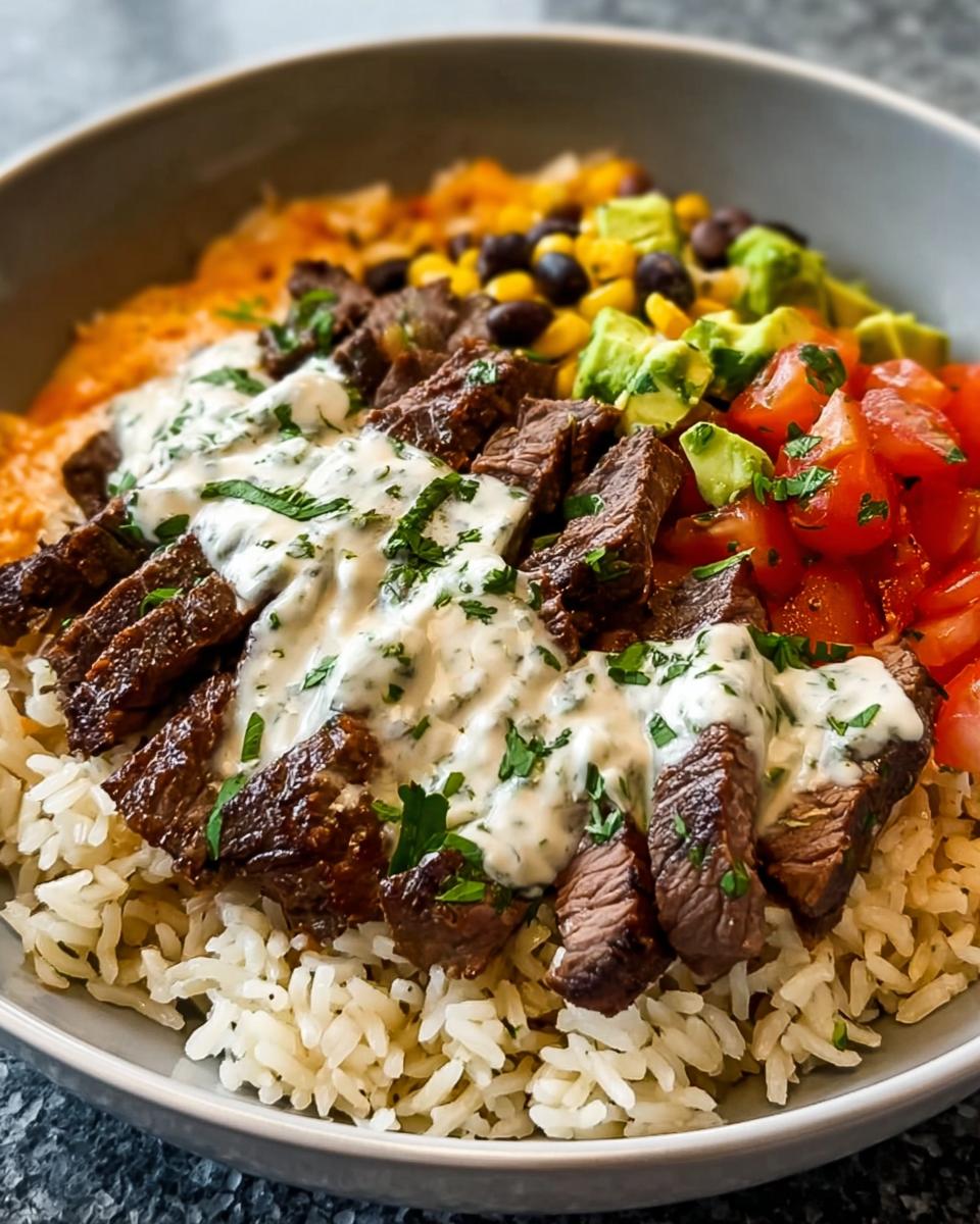 Steak Queso Rice Bowl - detail 2